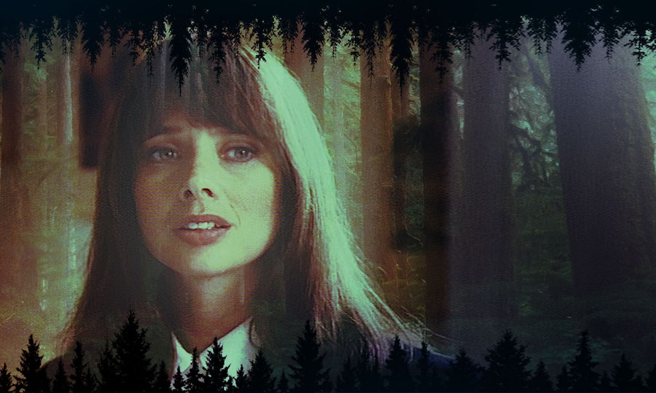 header image for In the Deep Woods