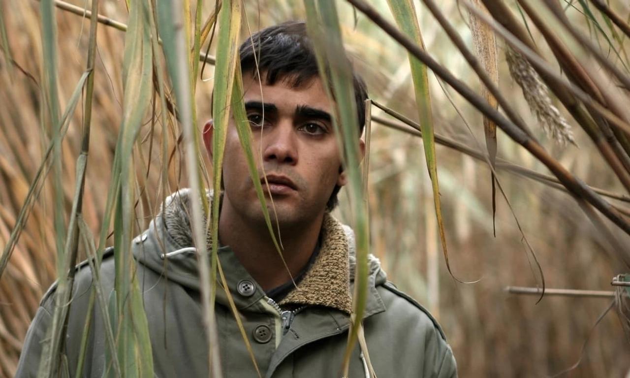 header image for Milk