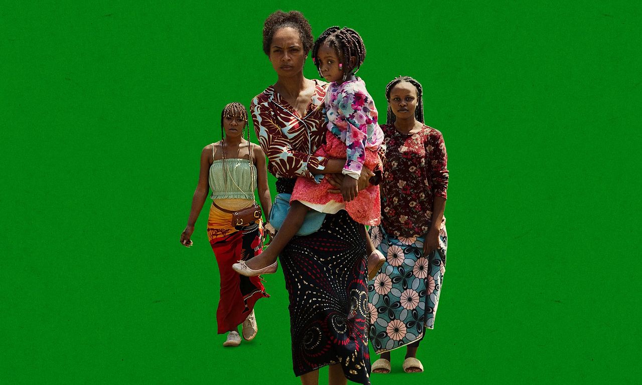 header image for On Becoming a Guinea Fowl