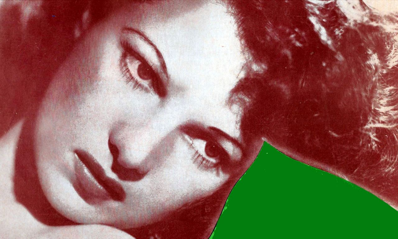 header image for Call of the Jungle