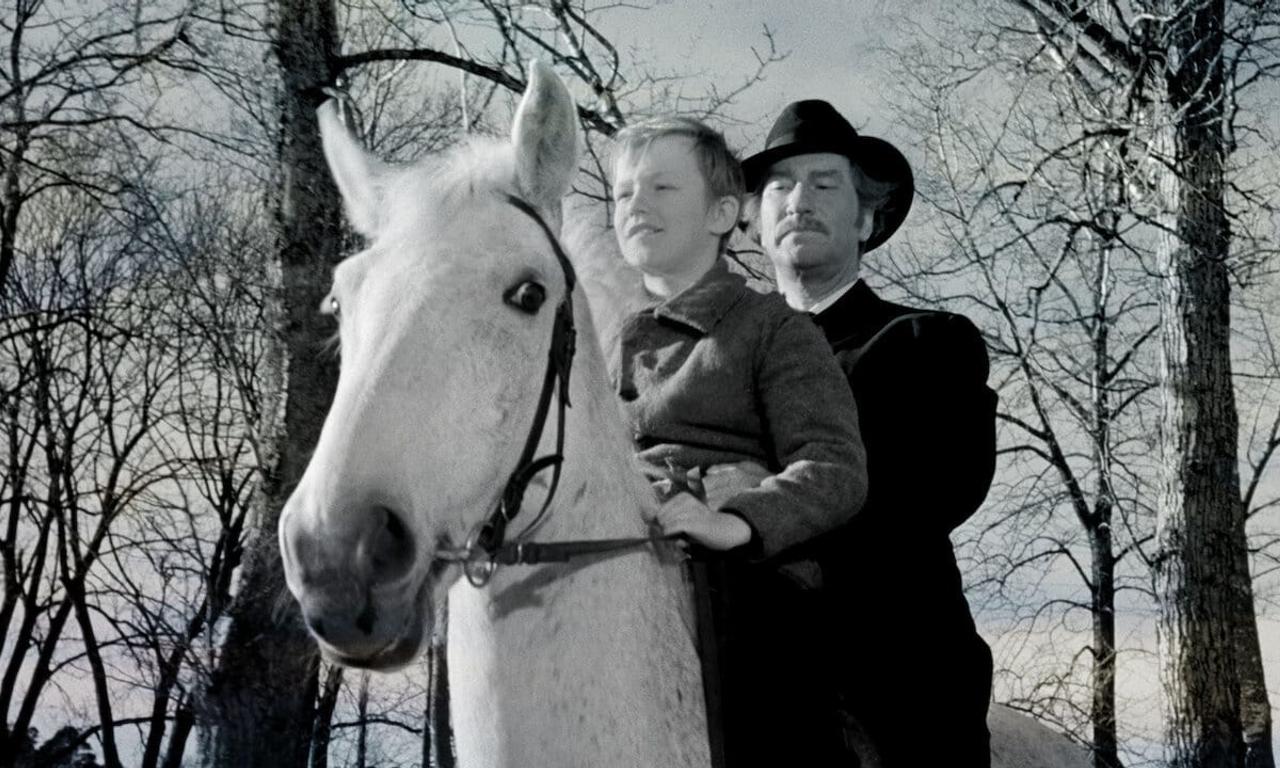 header image for The Brig Three Lilies