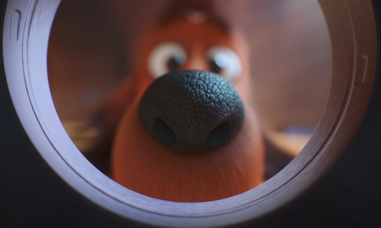 header image for The Dog Days of Winter