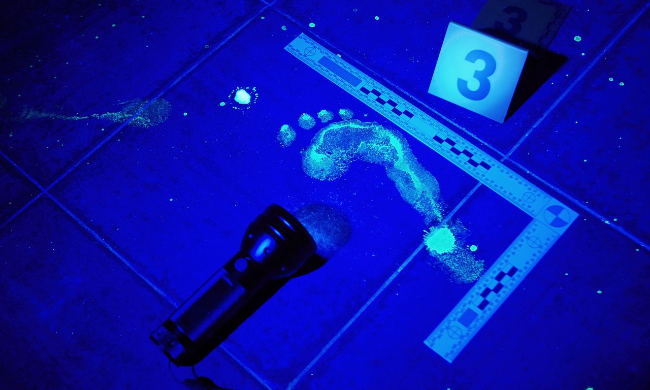 header image for Forensic Files
