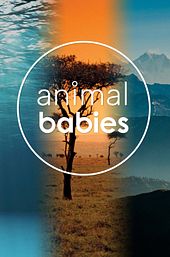 Animal Babies