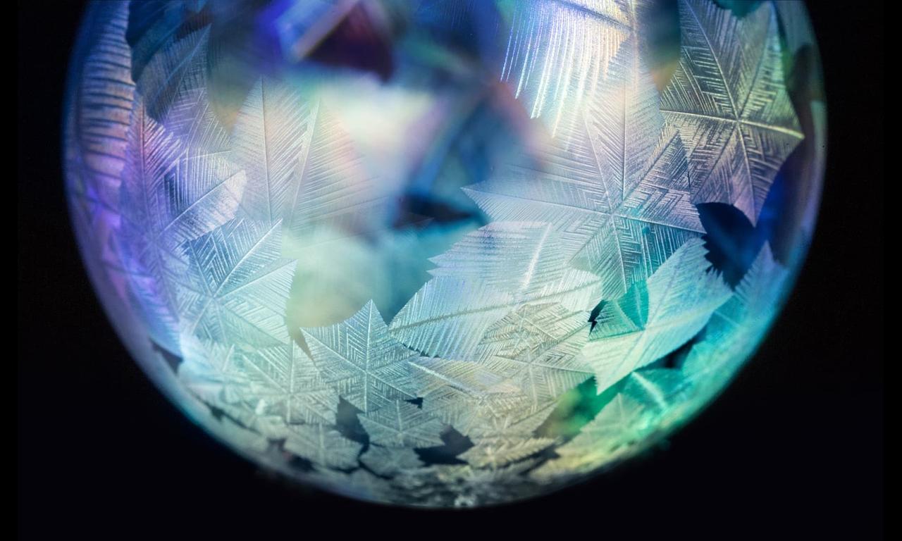 header image for Forces of Nature with Brian Cox