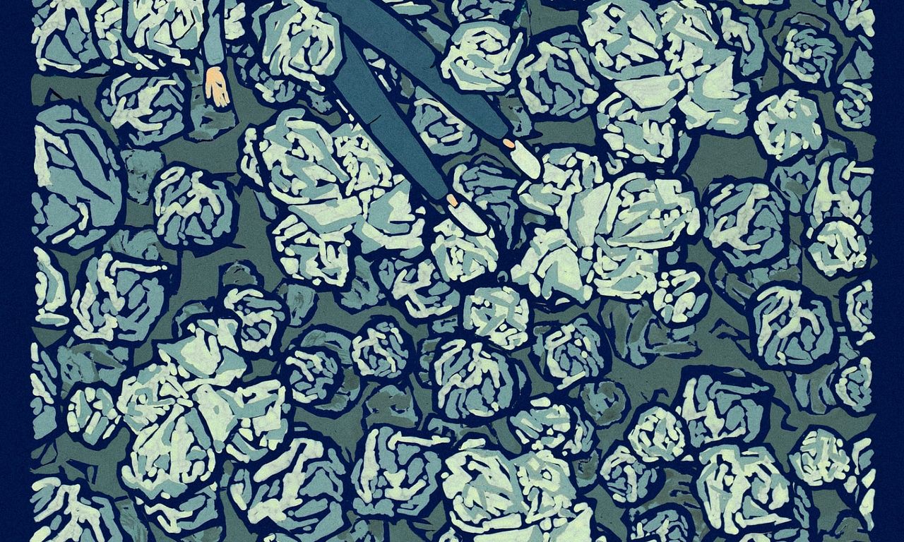 header image for Homebird