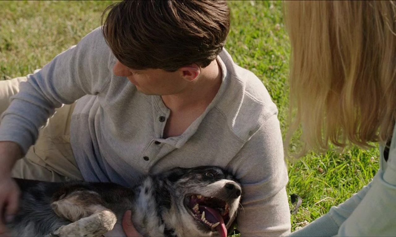 header image for Alex & the List