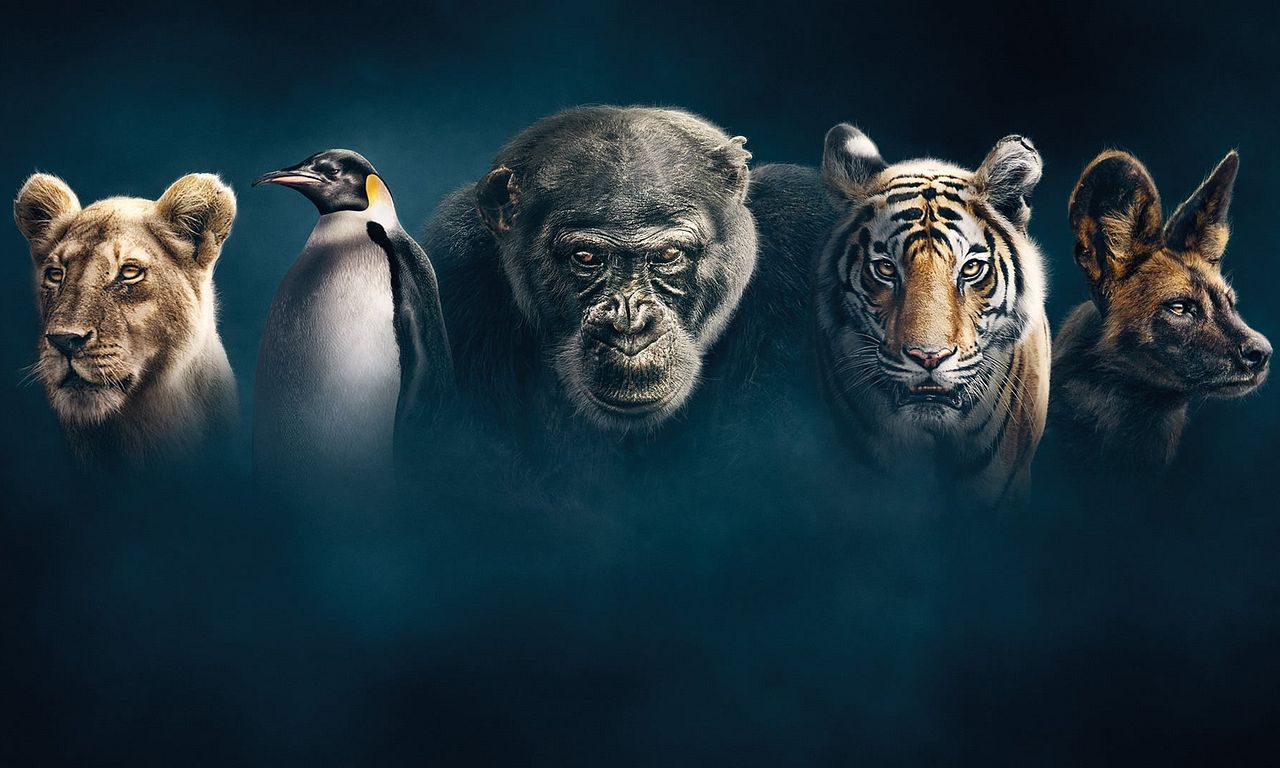 header image for Dynasties