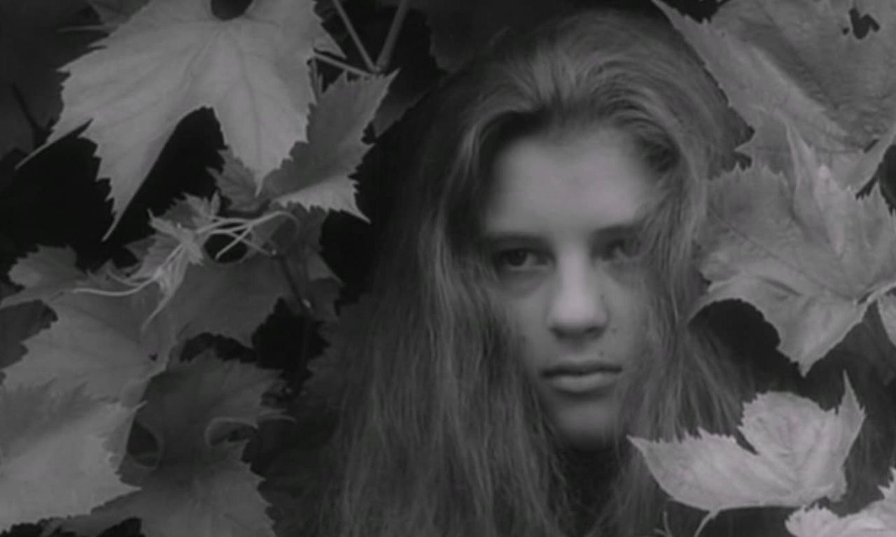 header image for Alice in Wonderland