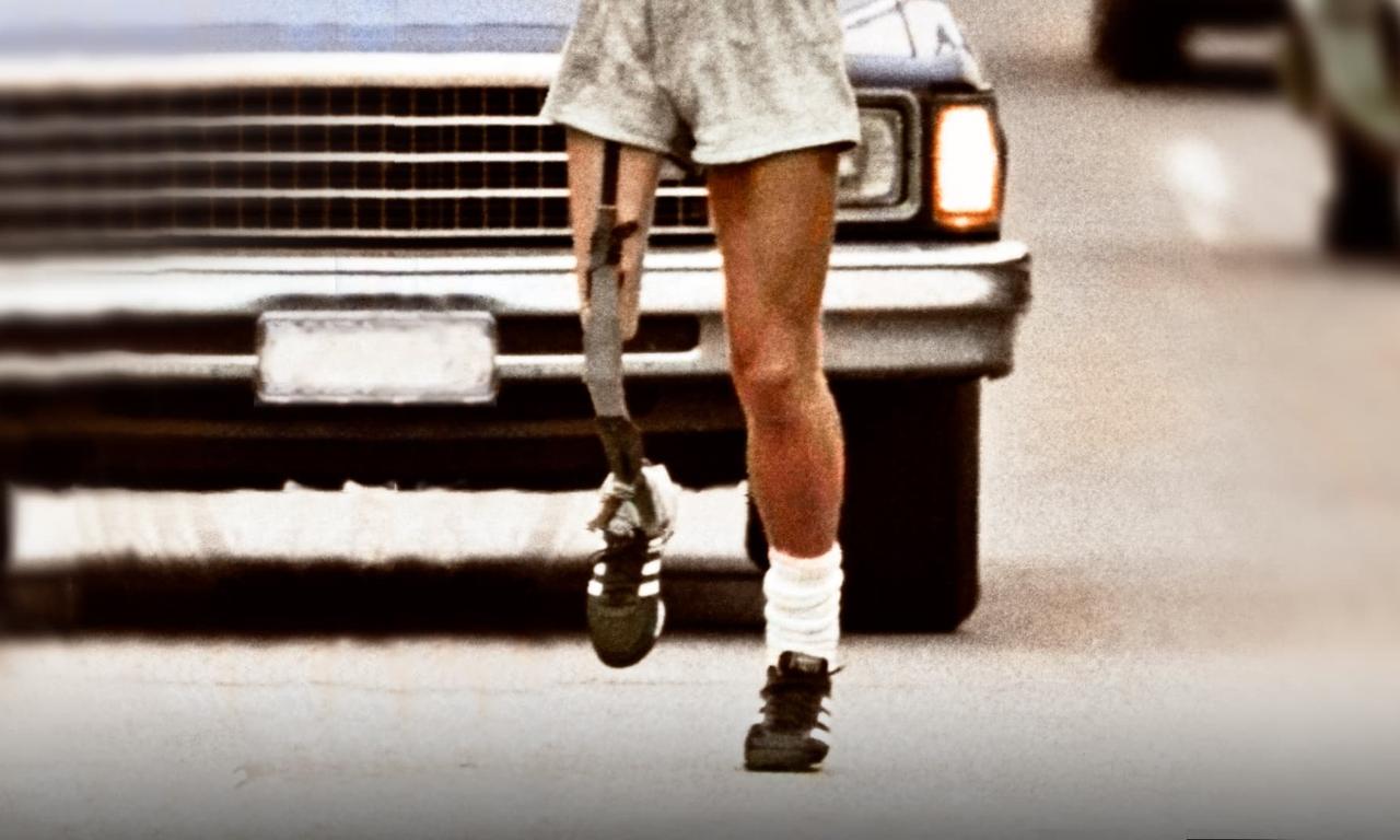 header image for Into the Wind