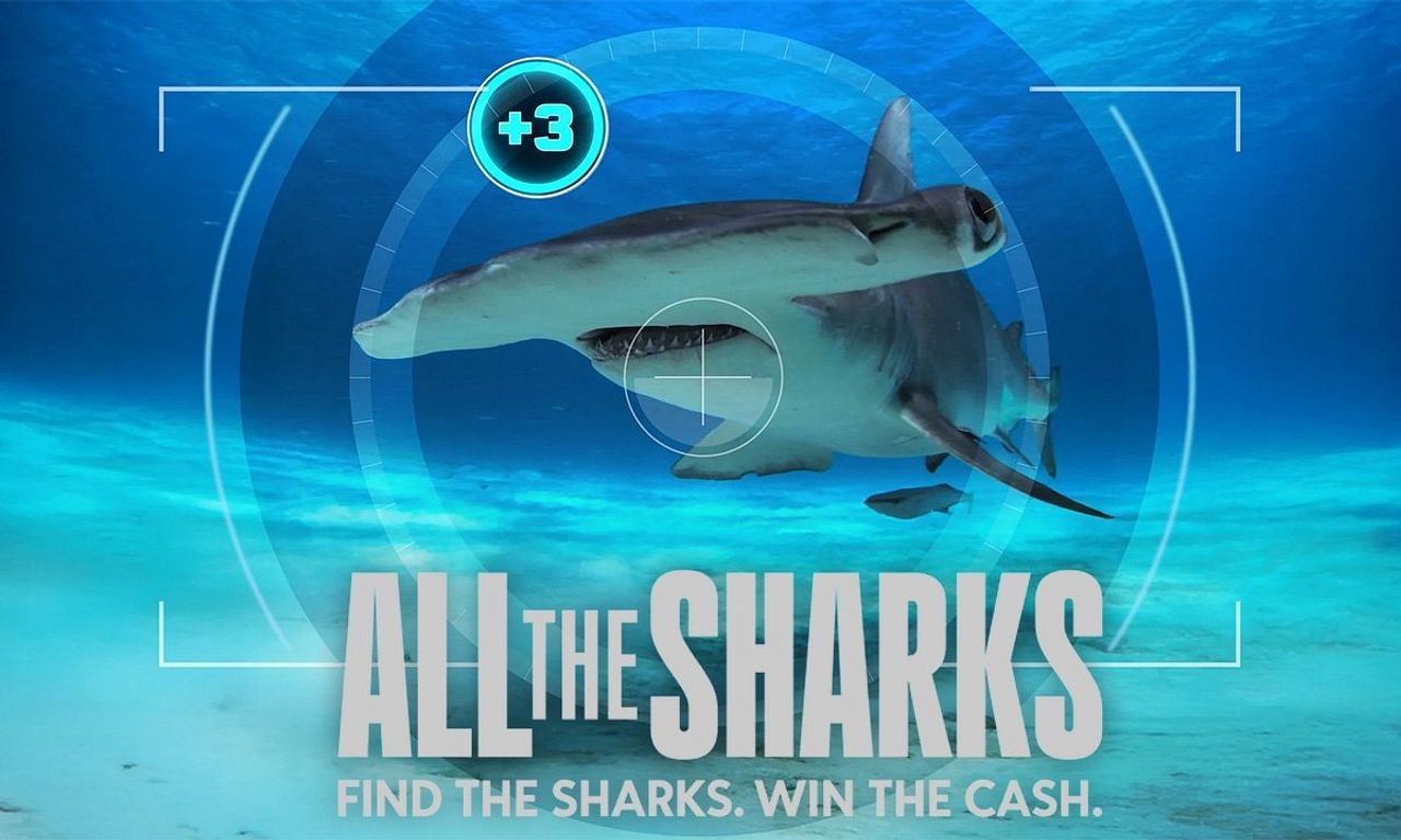 header image for All the Sharks