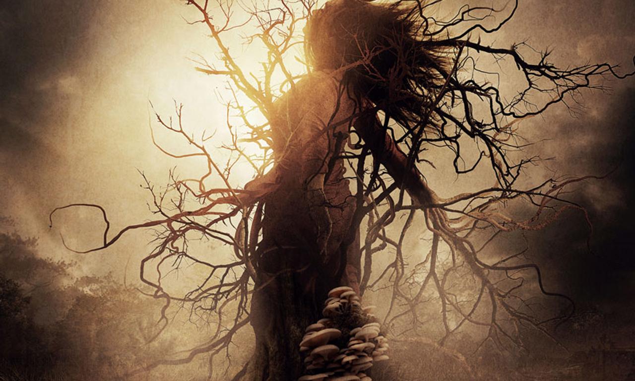 header image for Gaia