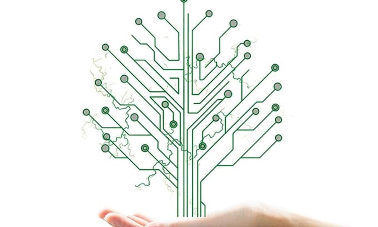 header image for Secrets of Silicon Valley