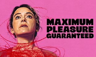 Maximum Pleasure Guaranteed