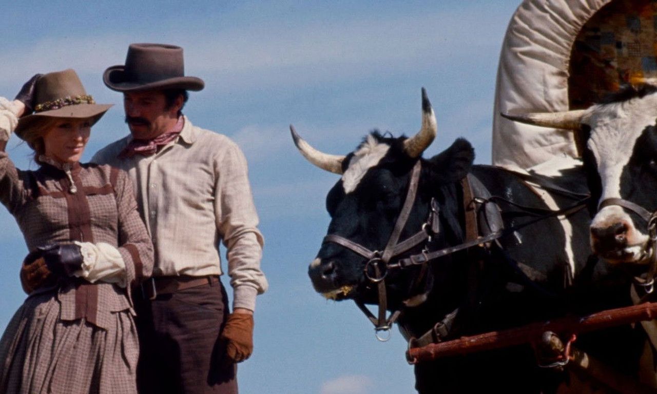 header image for Pioneer Woman