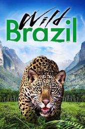 Wild Brazil