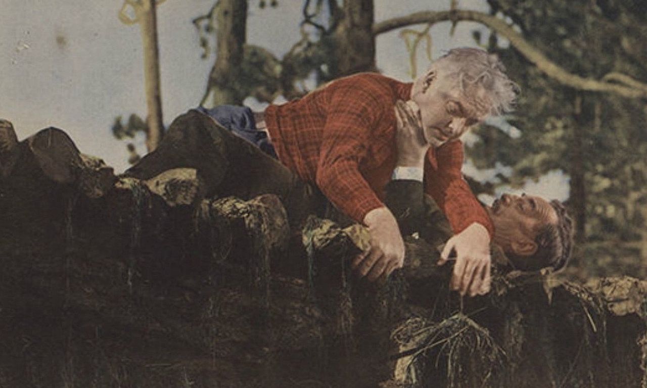 header image for Lumberjack