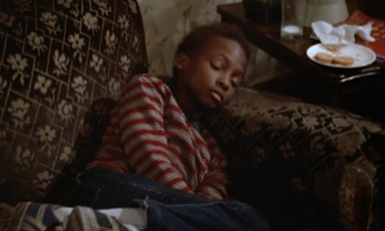 header image for Marvin & Tige