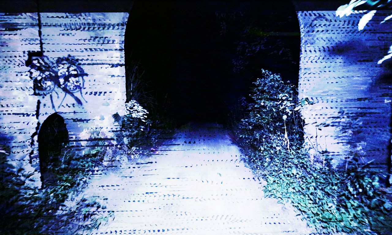 header image for Transmission