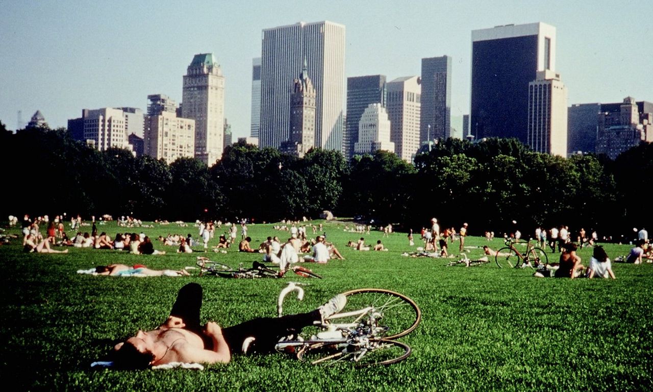 header image for Central Park