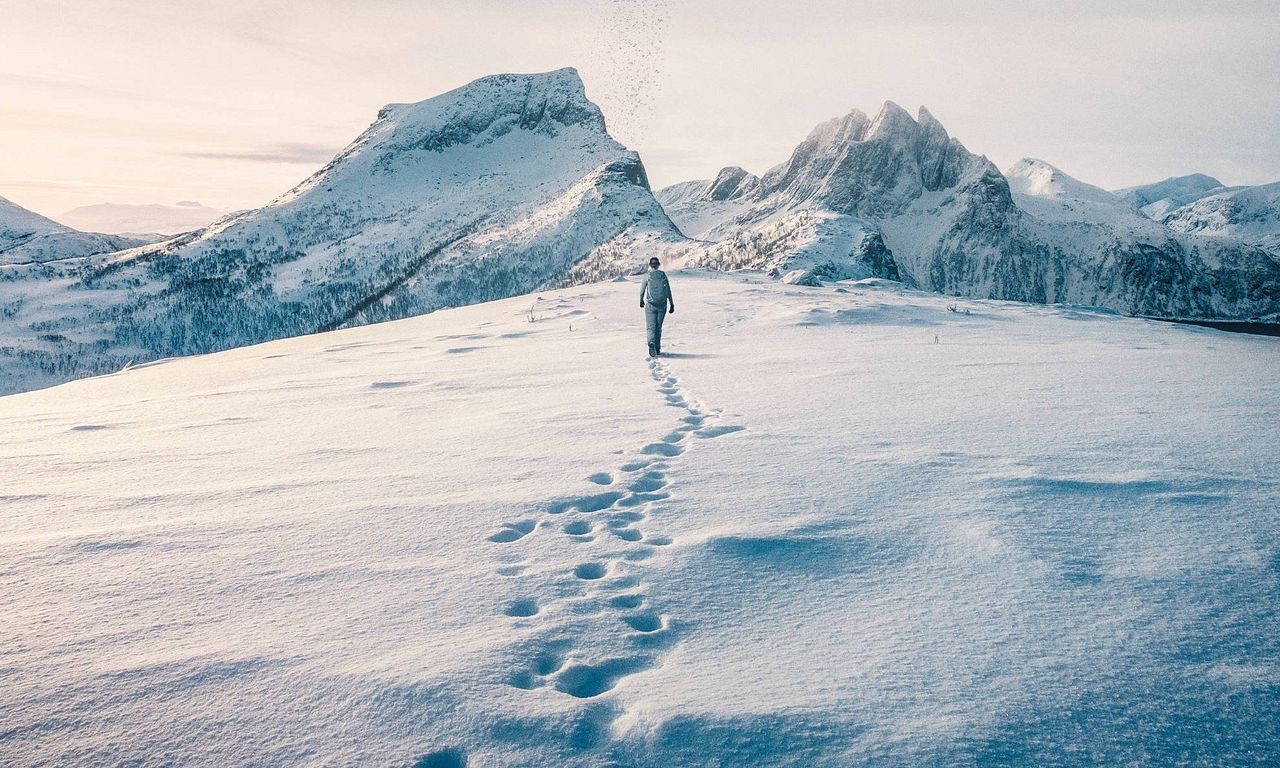 header image for The Occupant