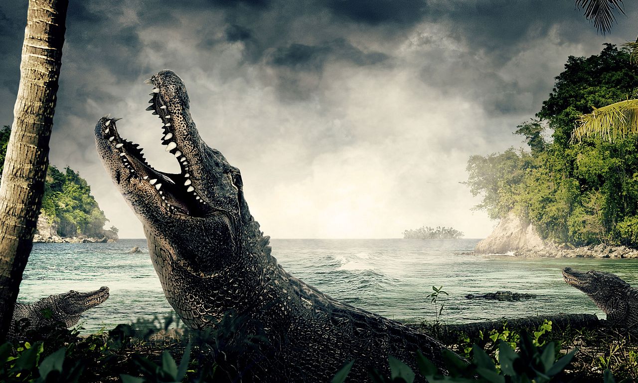 header image for Deadly Islands