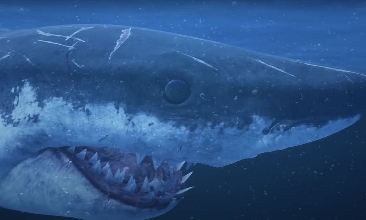 header image for Mummy Shark