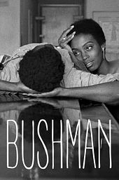 Bushman