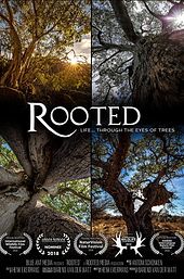 Rooted