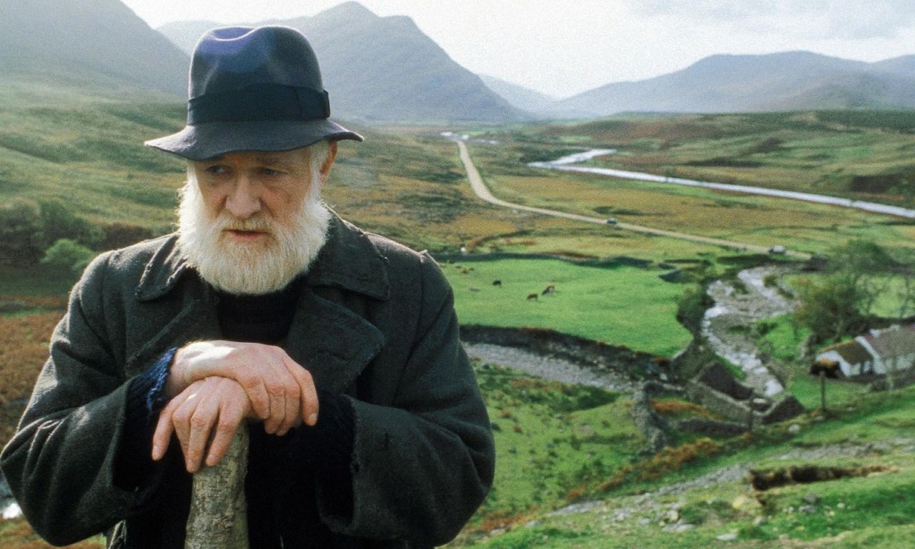 header image for The Field