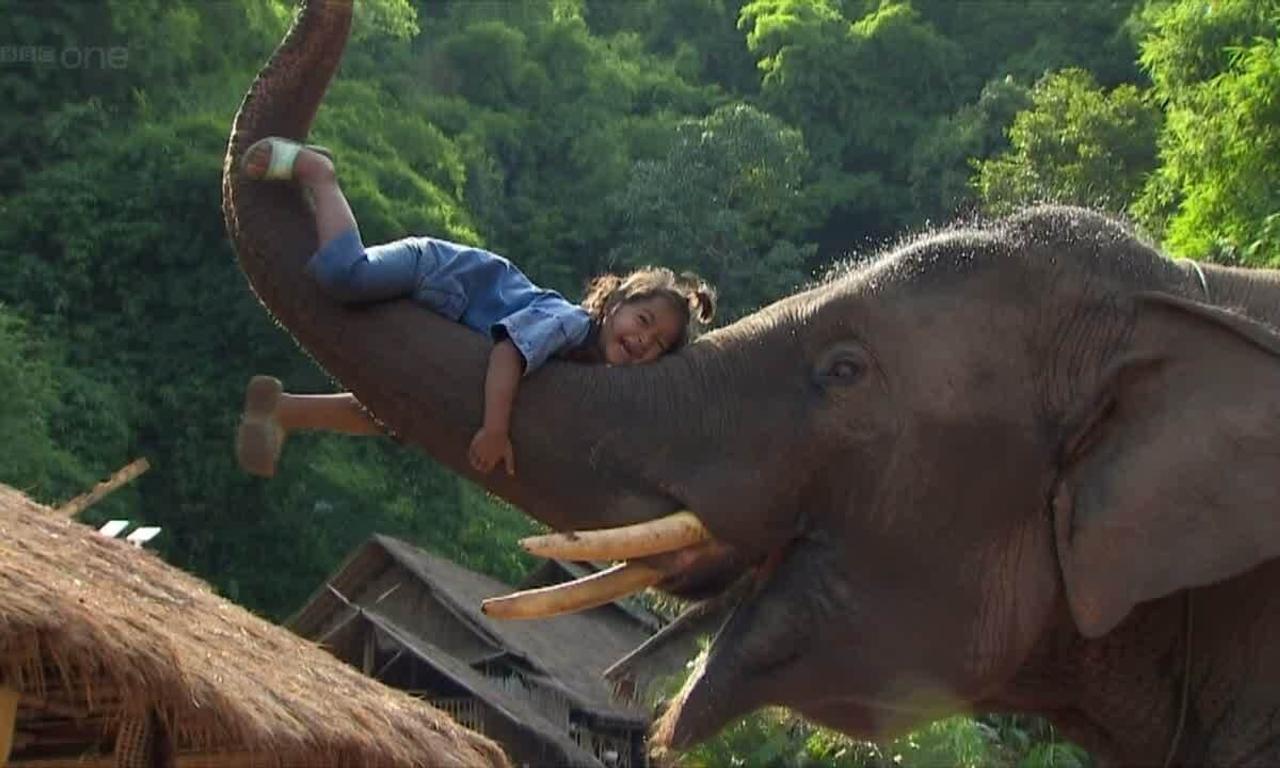 header image for Super Smart Animals