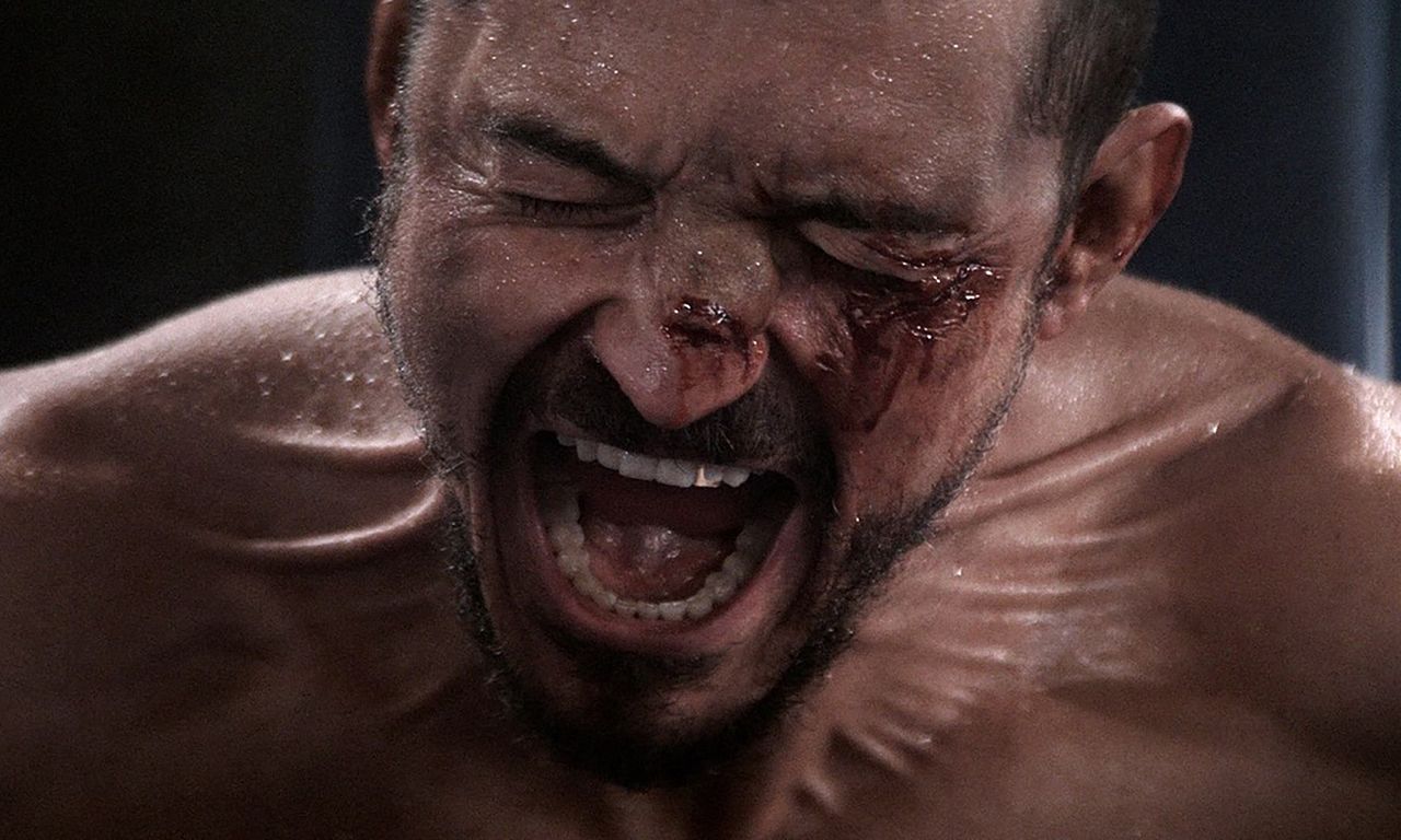 header image for The Cut