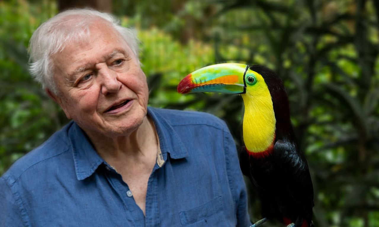 header image for Attenborough's Life in Colour
