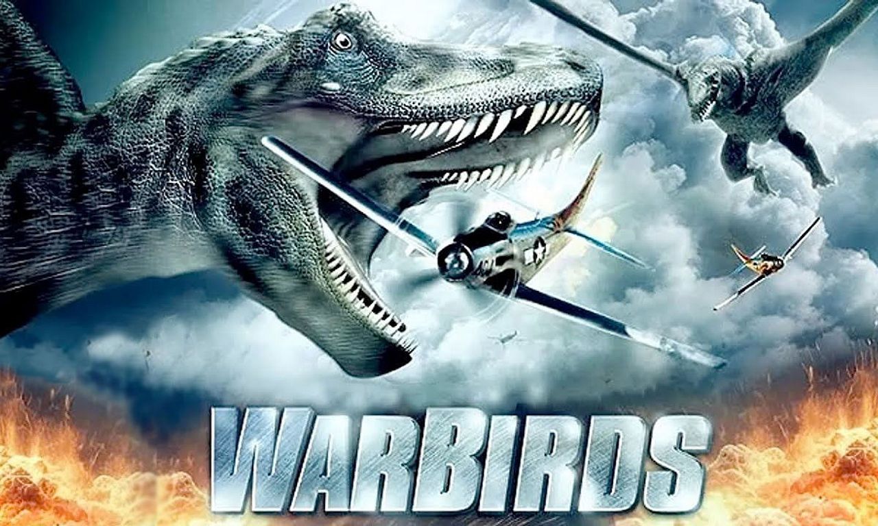 header image for Warbirds