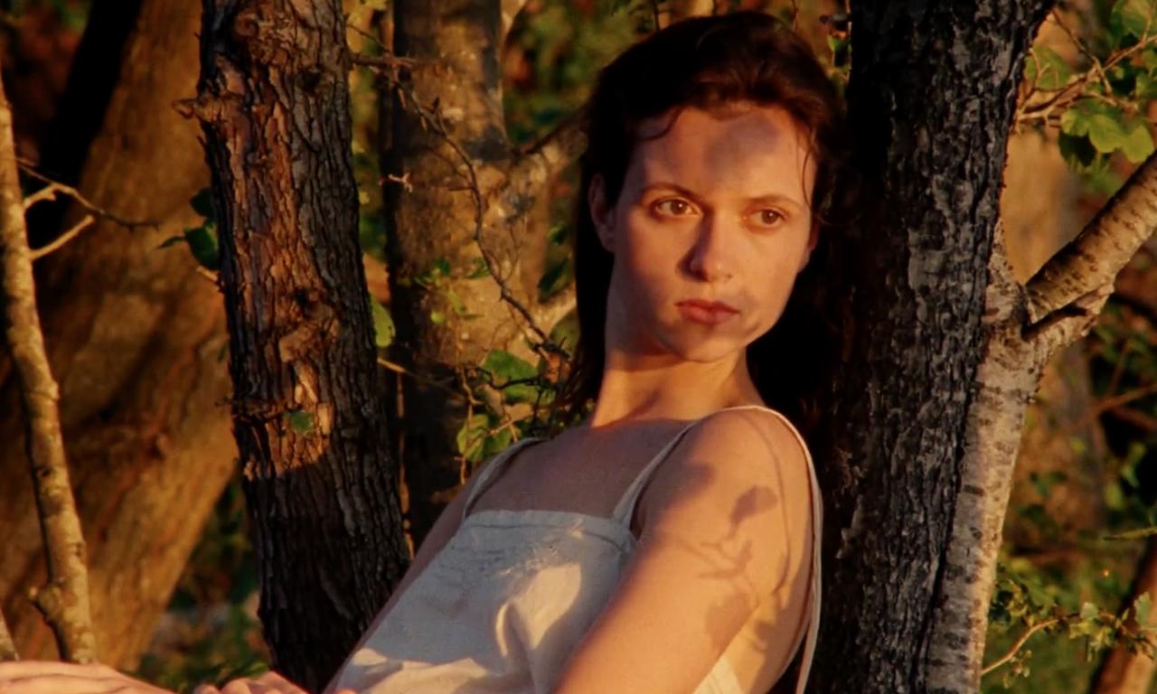 header image for Scarlet