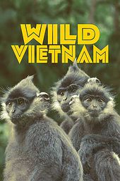 Wild Vietnam