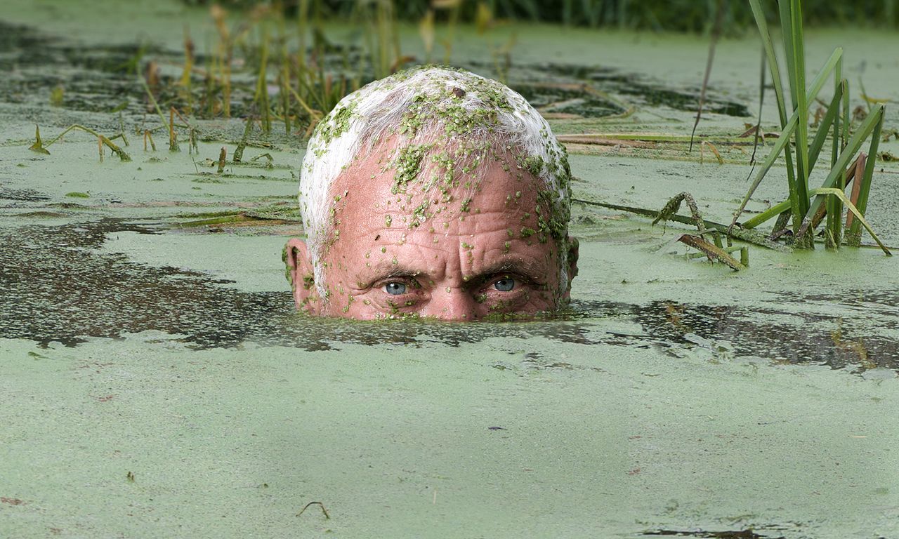 header image for Jeremy Wade's Dark Waters