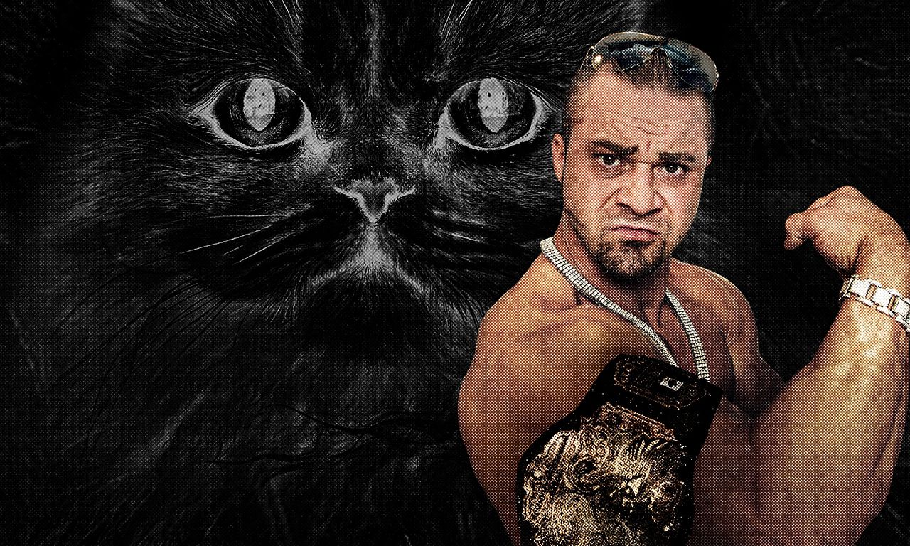 header image for Dangerous Breed: Crime. Cons. Cats.