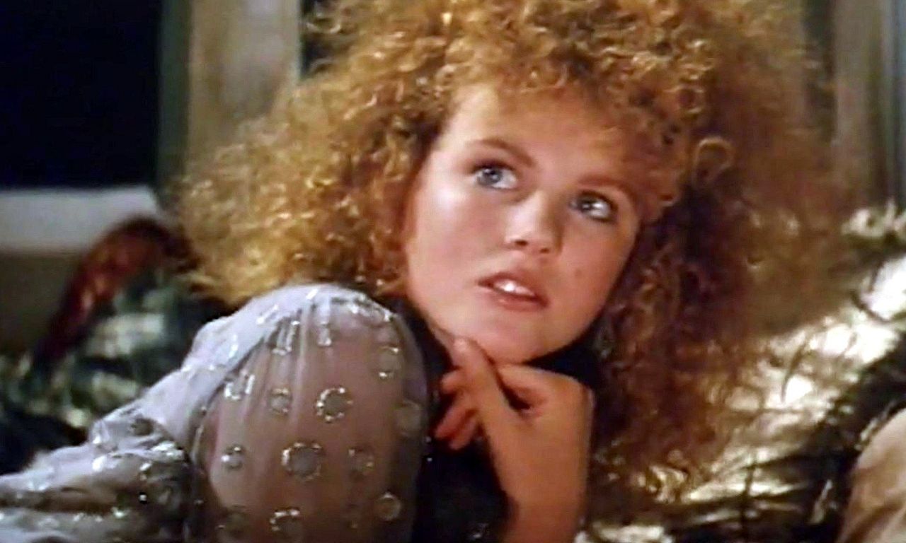 header image for Wills & Burke