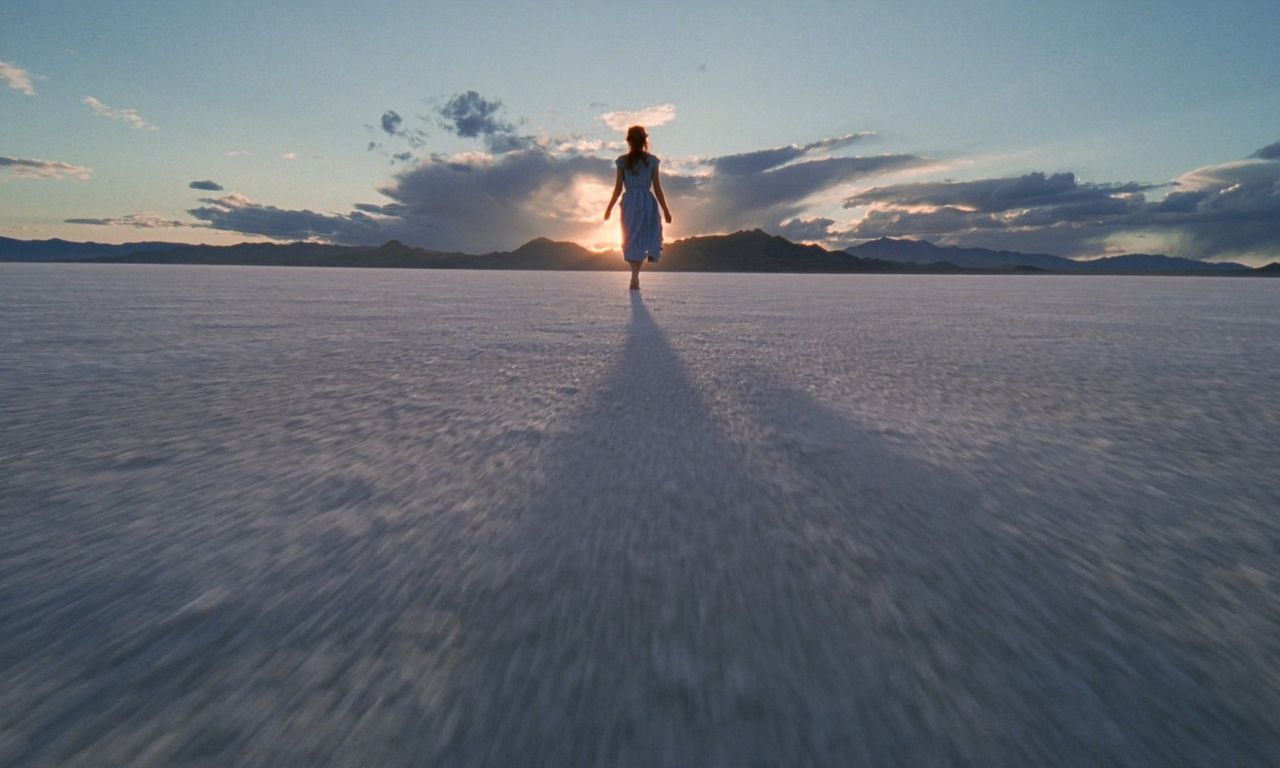 header image for The Tree of Life