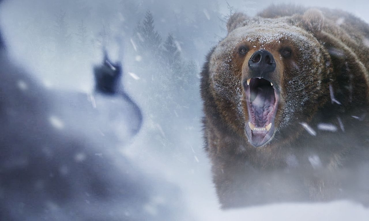 header image for The Savage Line