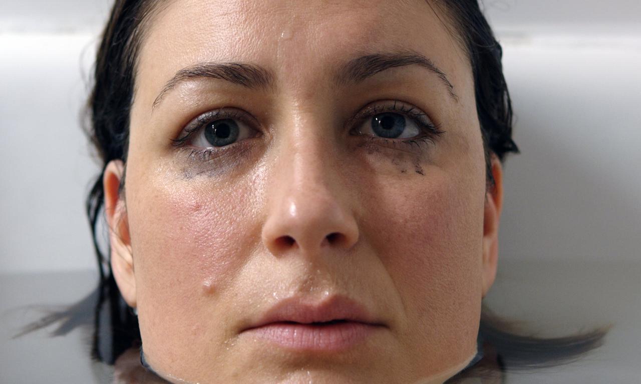 header image for Laura Gets a Cat