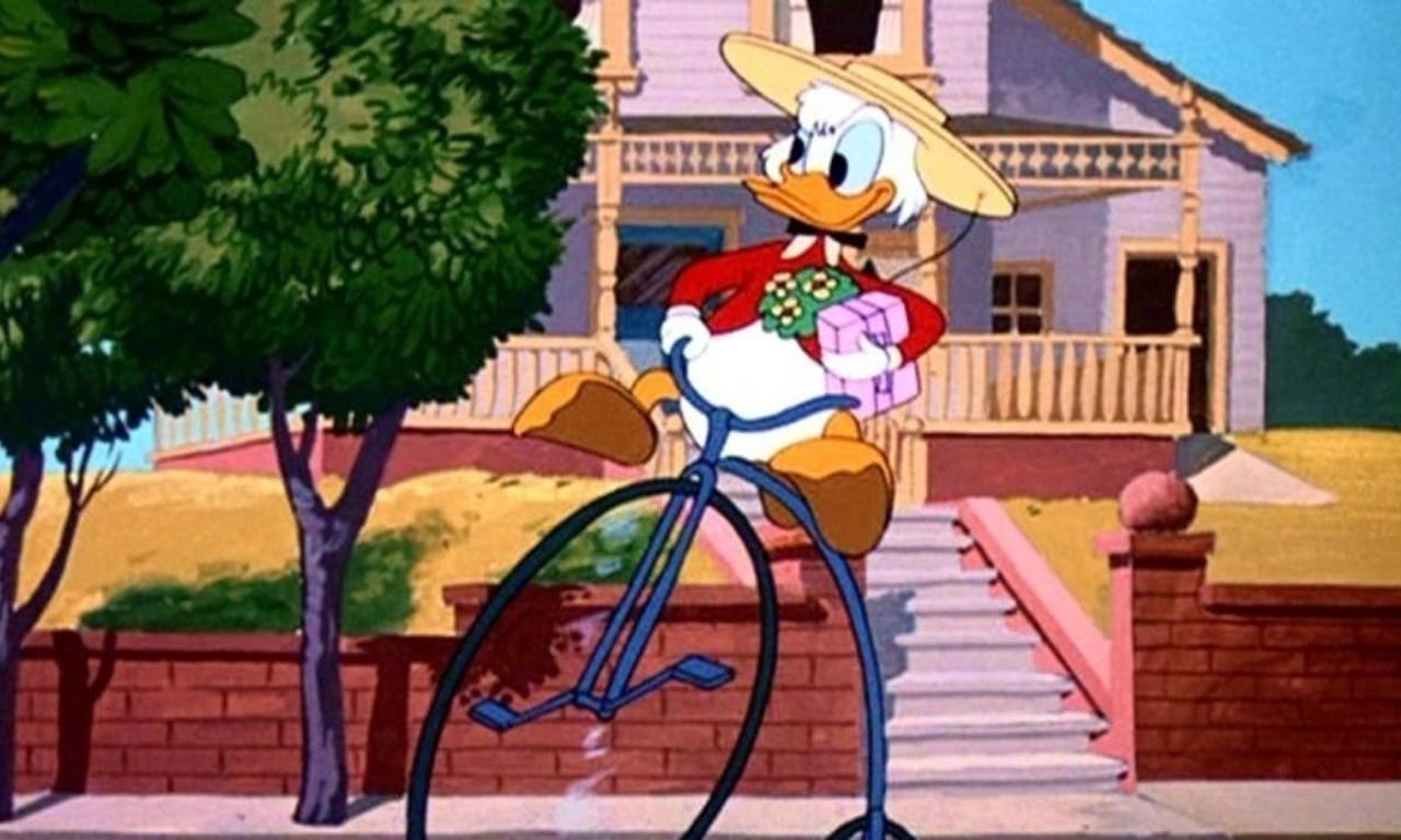 header image for Crazy Over Daisy