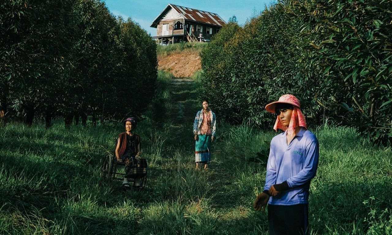 header image for The Paradise of Thorns