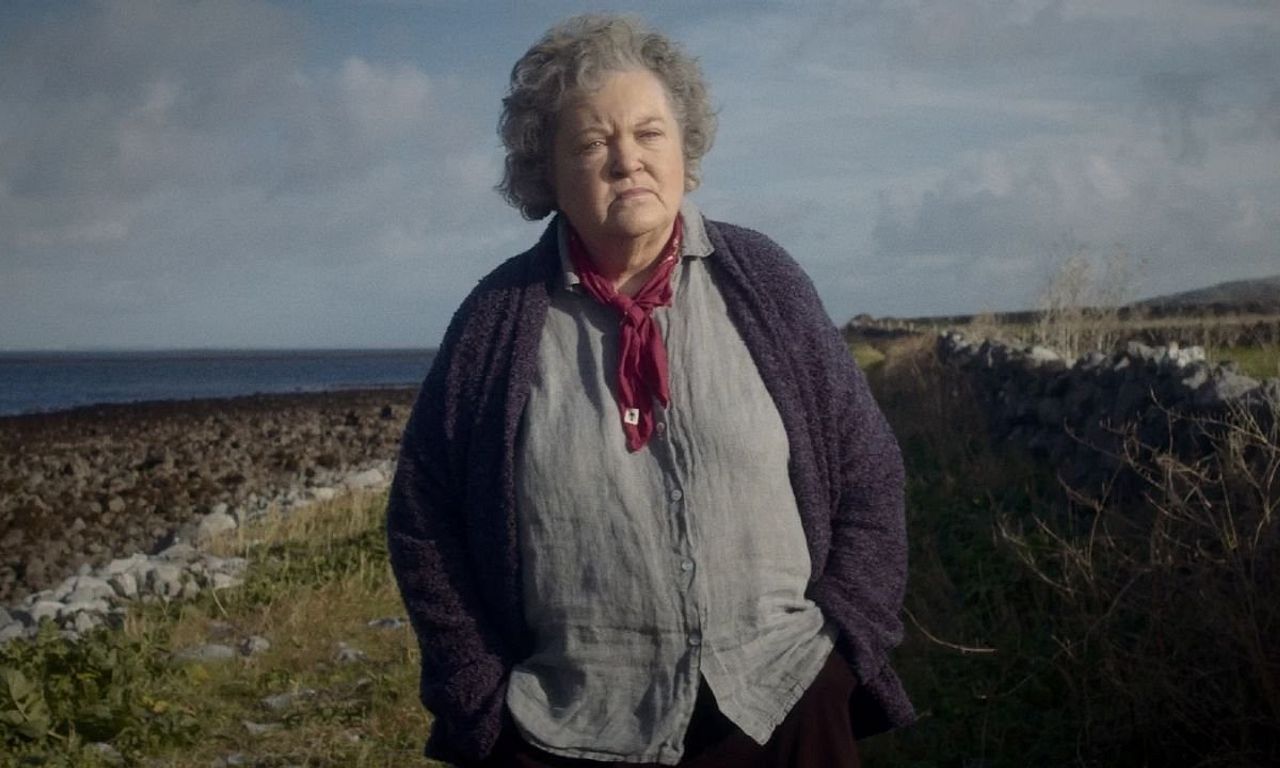 header image for The Swallow