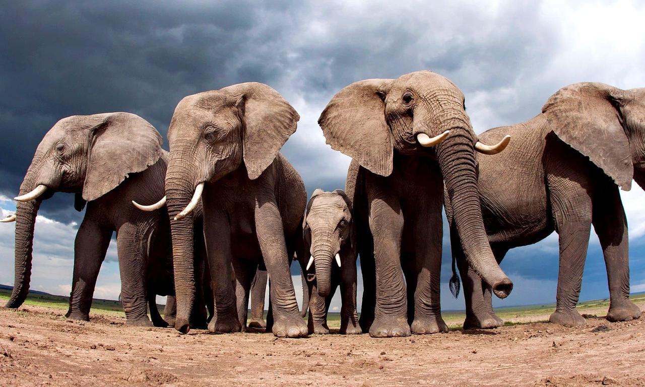 header image for Life Story