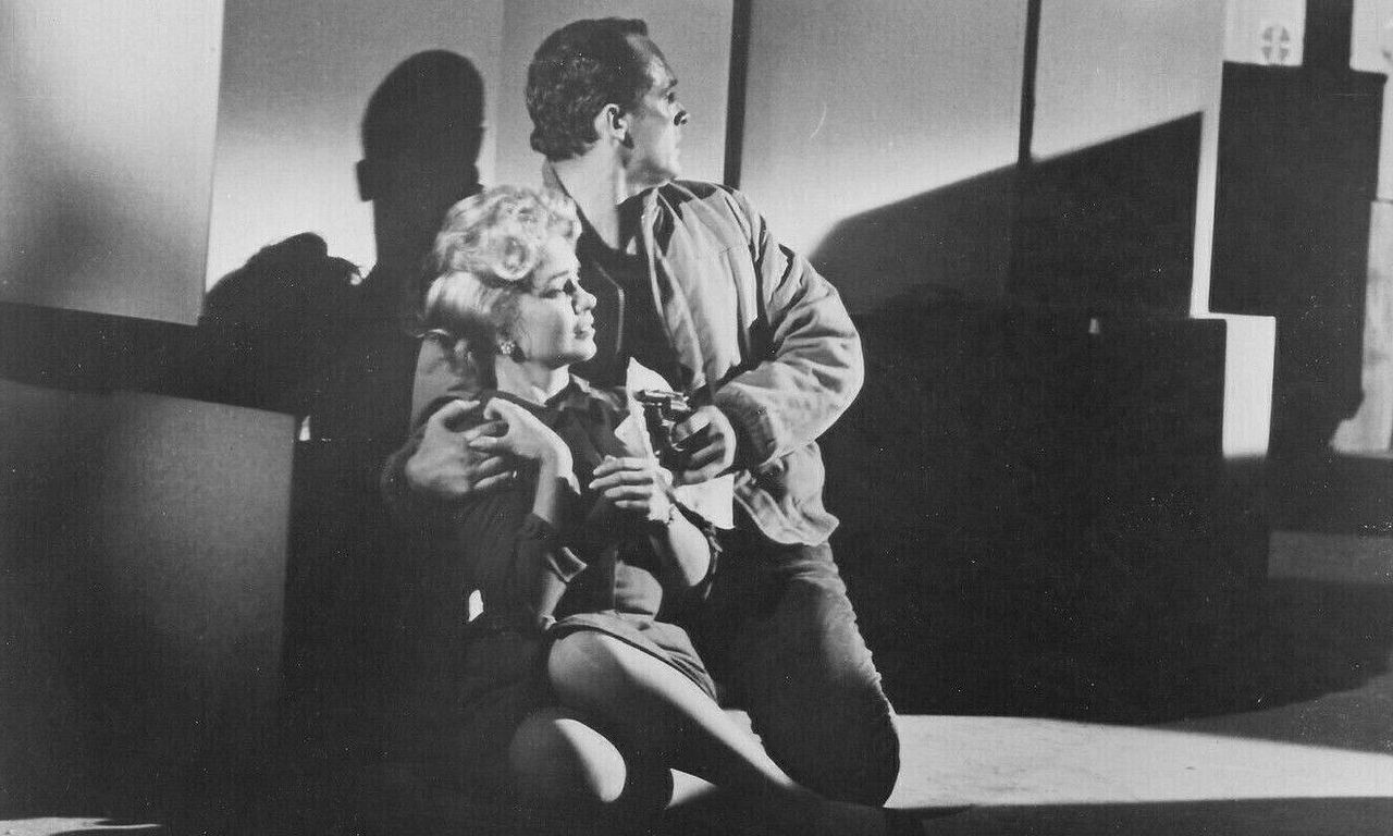 header image for The Cat Burglar