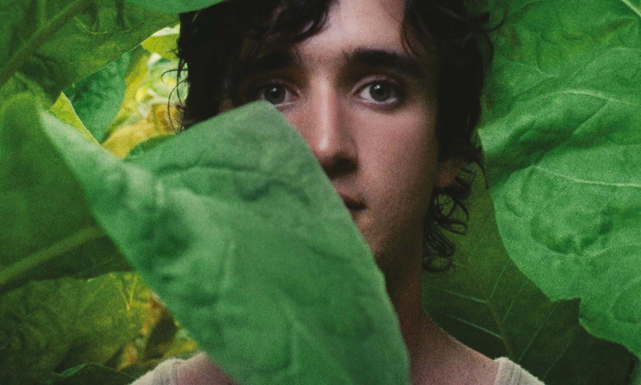 header image for Happy as Lazzaro