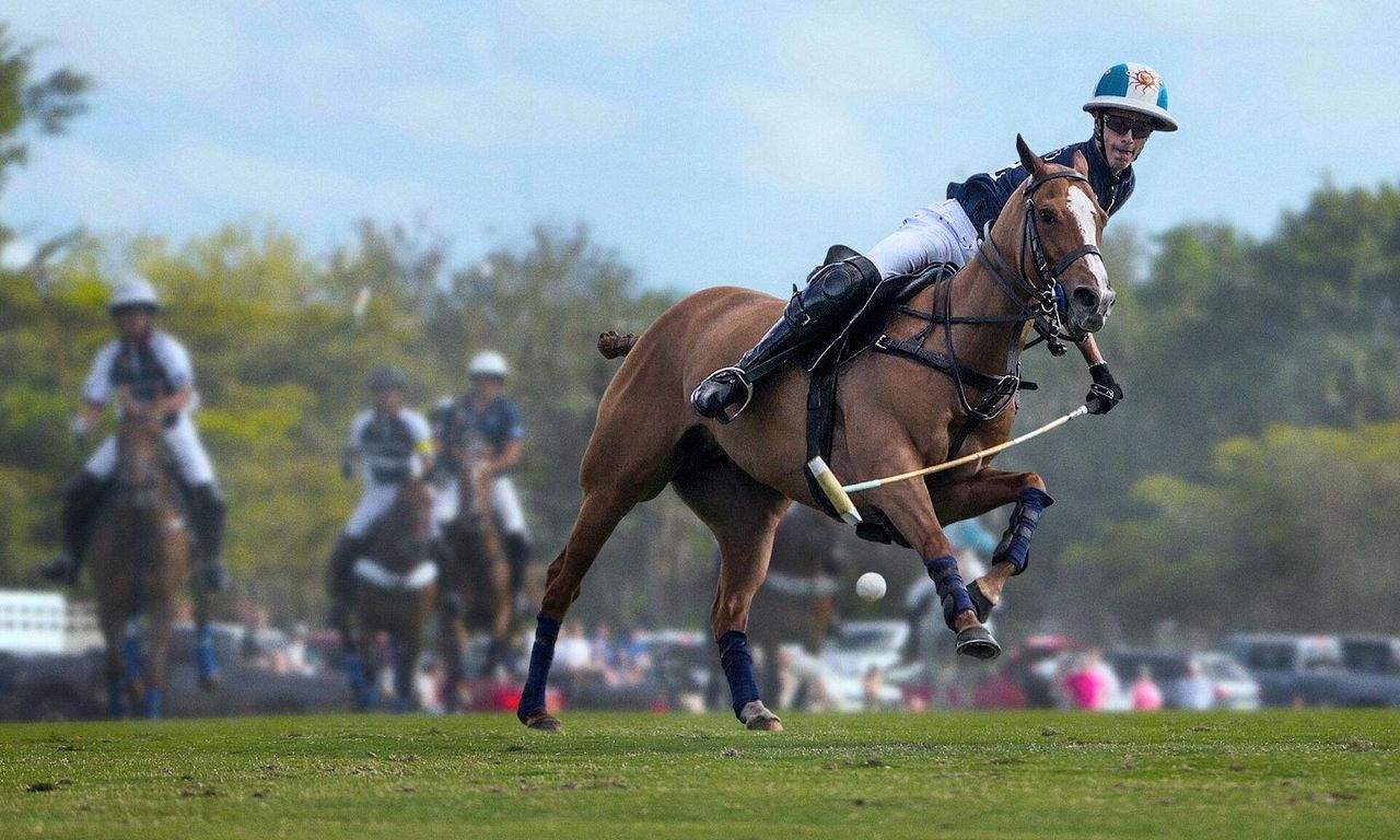 header image for Polo