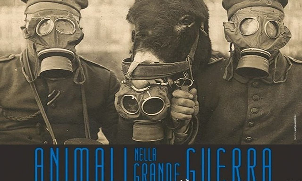 header image for Animals in the Great War